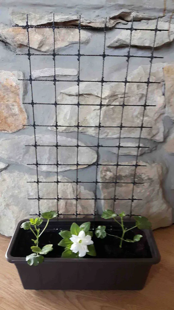 Opěrná zahradní síť z kompozitu - oko 50 x 50 mm, rozměr 0,8 x 3 m